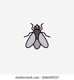 Vector illustration of a fly