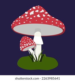 Vector illustration with fly agaric on a dark blue background, red mushrooms with white spots. Poisonous mushrooms