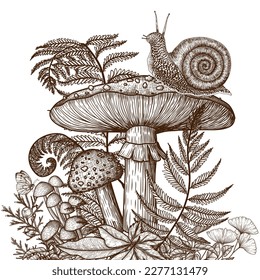 Vector illustration of fly agaric and snail surrounded by plants in engraving style