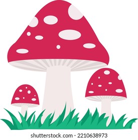 Vector illustration of fly agarics with green grass. Mushrooms on an isolated white background. Vector illustration of red mushrooms with grass. Illustration of fly agarics in the grass.