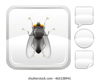 Vector illustration of fly insect. Blank button form set - square, speaking bubble, circle, sticker.
