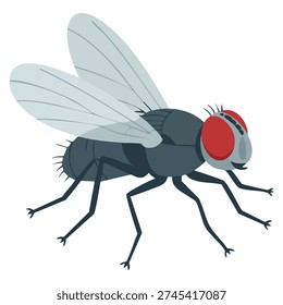Vector illustration of fly insect ideal for nature biology pest control entomology animal study and scientific themed graphics