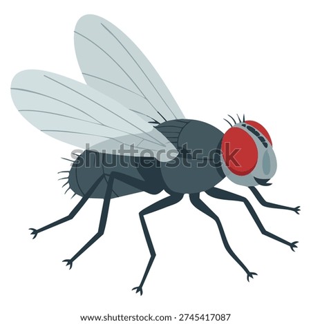 Vector illustration of fly insect ideal for nature biology pest control entomology animal study and scientific themed graphics
