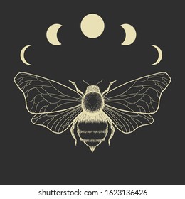 Vector illustration of fly and moon cycle. Abstract mystic sign. Gold linear shape. For you design: tattoo, print, posters, t-shirts, textiles