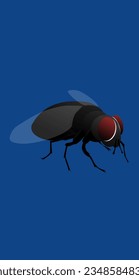vector illustration of a fly on a blue background