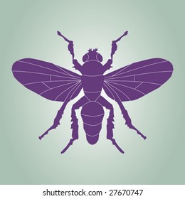 A vector illustration of fly silhouette.