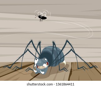 Vector illustration of a fly and a spider
