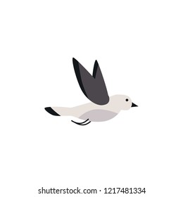 Vector illustration of a flying bird