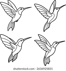 vector illustration of a flying bird