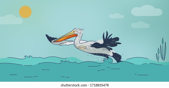 Vector Ilustración de pájaro volador, pelícano dálmata rizado en el fondo de la costa, agua, mar, pantano, cielo. С de sitio, redes sociales, páginas web en Internet.