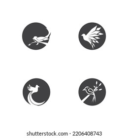 Vector illustration of flying bird isolated on white background