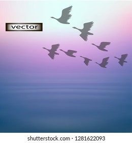 Vector illustration of flying birds flock of geese over water