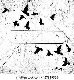 Vector illustration of flying birds on grunge background with place for your text