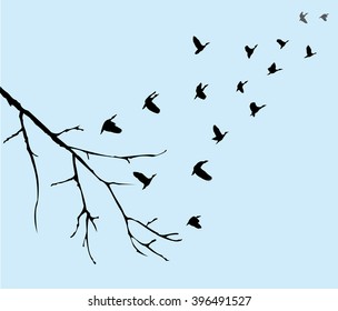 vector illustration of flying birds silhouettes with tree branch