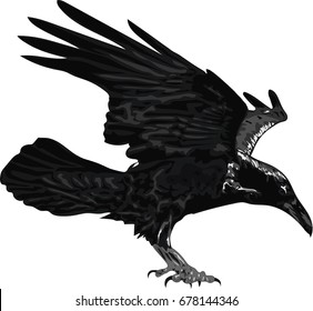 Illustrations Raven Images Stock Photos Vectors Shutterstock