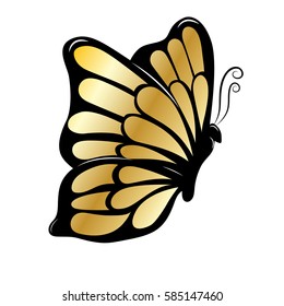 vector illustration of flying butterfly gold with black