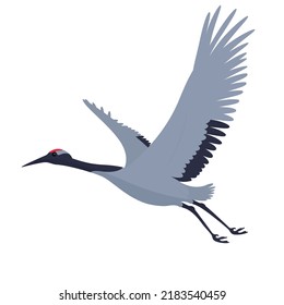 vector illustration of flying crane bird