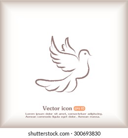  Vector illustration Flying dove for peace concept and wedding d