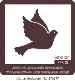 Vector illustration Flying dove for peace