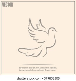  Vector illustration Flying dove for peace concept and wedding 