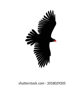 ilustración vectorial de silueta de águila voladora