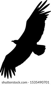 Vector illustration of flying Griffon vulture  silhouette