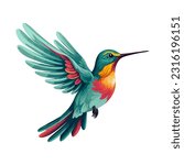 vector illustration of a flying hummingbird