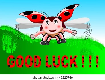 Vector illustration of flying ladybird that says good luck