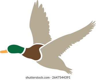 Vector illustration of a flying male mallard duck flying. Simple design with flat colors. Featuring the bird's vibrant green head, outstretched wings, and natural feather colors. Logo icon silhouette