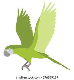 vector illustration of flying parrot