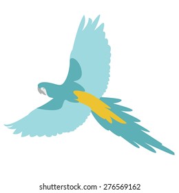 vector illustration of flying parrot