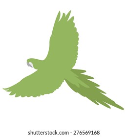 vector illustration of flying parrot