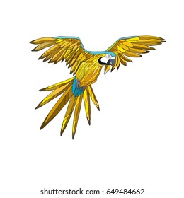 Vector illustration. A flying parrot with yellow and turquoise wings