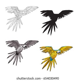 Vector illustration. A flying parrot with yellow and turquoise wings. Black and white line, silhouette, black and white, gray and color image.