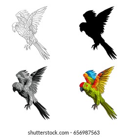 Vector illustration. A flying parrot with yellow, red and turquoise wings. Black and white line, silhouette, black and white, gray and color image.