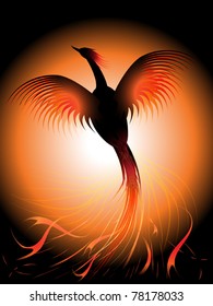 Vector illustration of a flying phoenix, risen from the fire