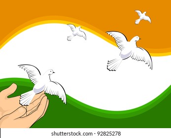 vector illustration flying pigeons on Indian flag colors background for Independence Day and Republic Day.