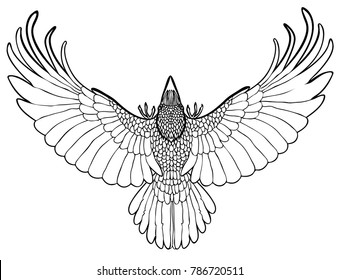 Vector illustration of flying raven tattoo black and white 