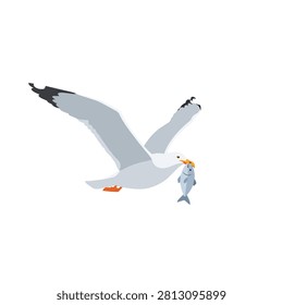 Vector Illustration of a Flying Seagull Bird Carrying a Caught Fish in Its Beak on White Background