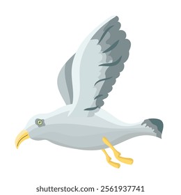 vector illustration with flying seagull. seagull in flight. bird soaring. freedom of movement. isolated on white background