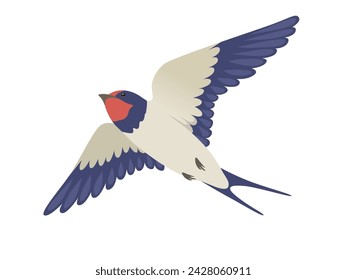 Vector illustration of flying swallow