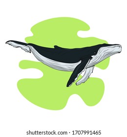 Vector illustration of a flying whale
