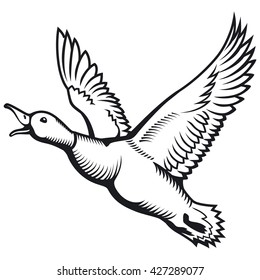 Coloring Page Cartoon Eagle Bird Hawk Stock Vector (Royalty Free) 685898290