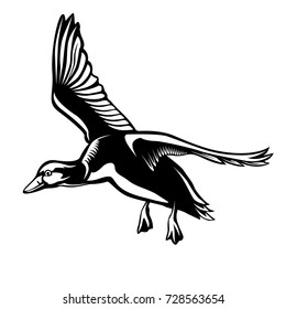 Vector illustration of flying wild duck isolated on white background. For hunting emblem or logo.