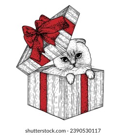 Vector illustration of a folded Siamese cat in a gift box with a bow in engraving style