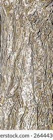 Vector illustration of Fontanesia phillyreoides bark close-up. Fontanesia phillyreoides trunk texture. Live wood background. Forest nature of skin.
