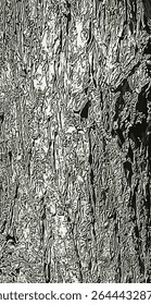Vector illustration of Fontanesia phillyreoides bark close-up. The Fontanesia phillyreoides trunk texture. Live wood background. Forest nature of skin.
