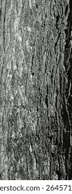 Ilustração vetorial de Fontanesia phillyreoides ladra close-up. Fundo de madeira vivo. Fontanesia phillyreoides textura do tronco. Natureza florestal da pele.
