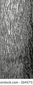 Ilustração vetorial de Fontanesia phillyreoides ladra close-up. Fundo de madeira vivo. Fontanesia phillyreoides textura do tronco. Natureza florestal da pele.
