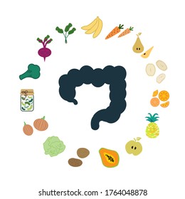 vector illustration of food to boost digestion and intestine health in circle shape design